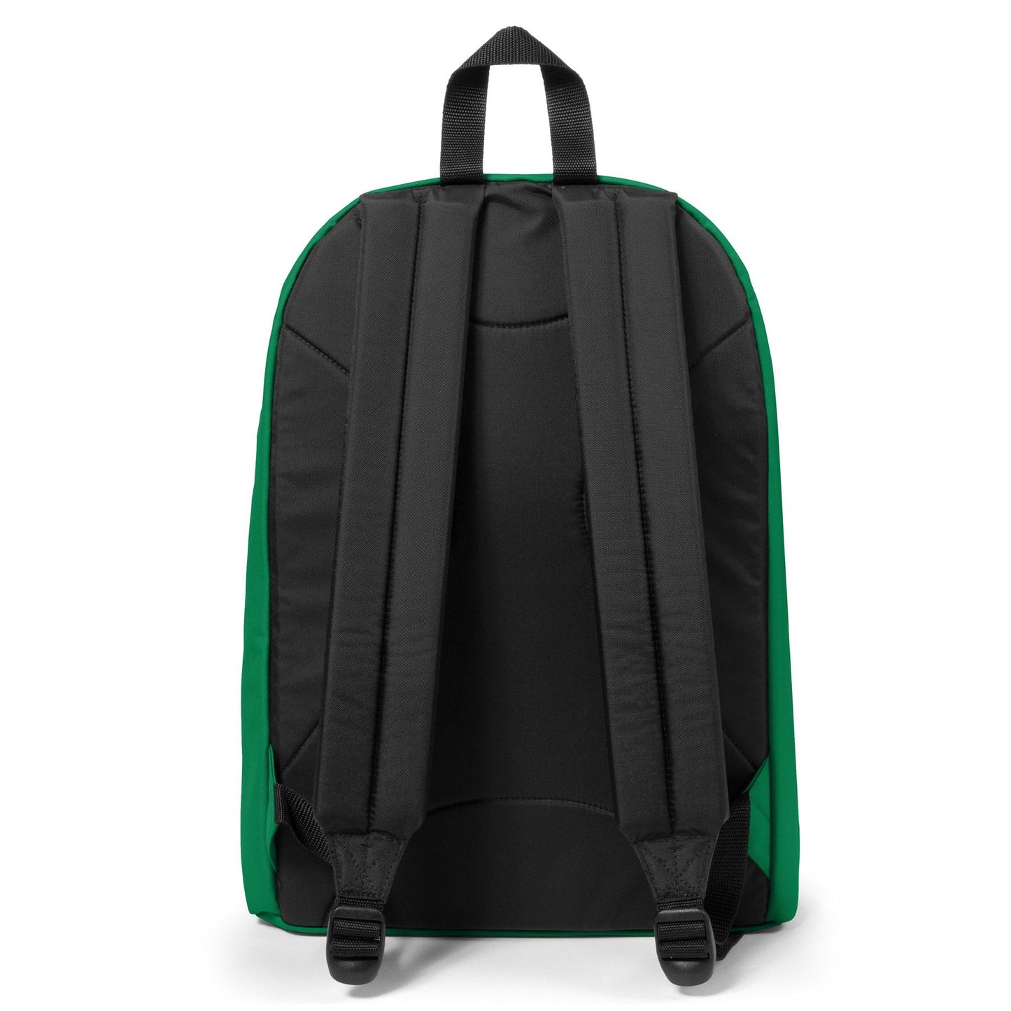 Out Of Office Parrot Green
