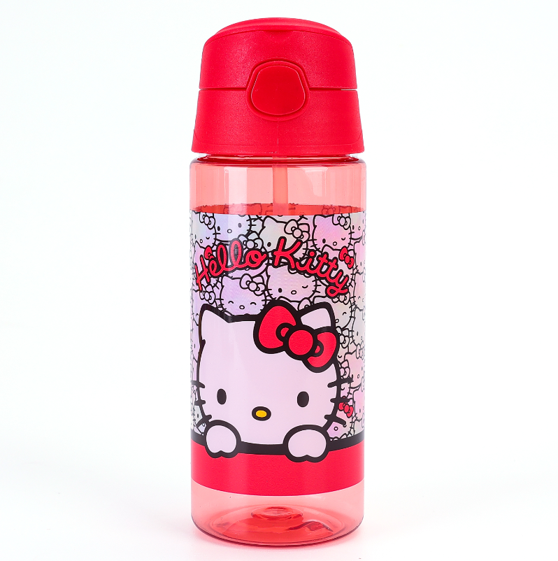 Must Team 500 ML water bottle hello kitty