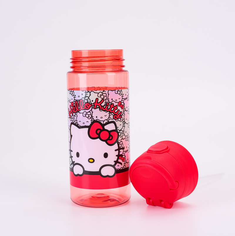 Must Team 500 ML water bottle hello kitty